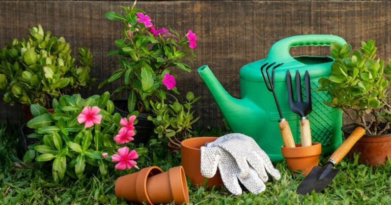 5 Must-Have Gardening Tools to Keep Your Garden Looking Its Best