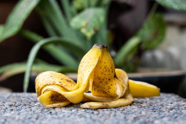 Put bananas In Your Garden